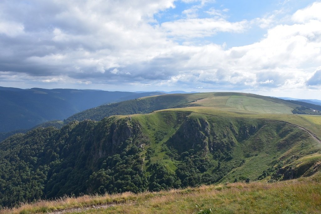 DSC_8856.JPG