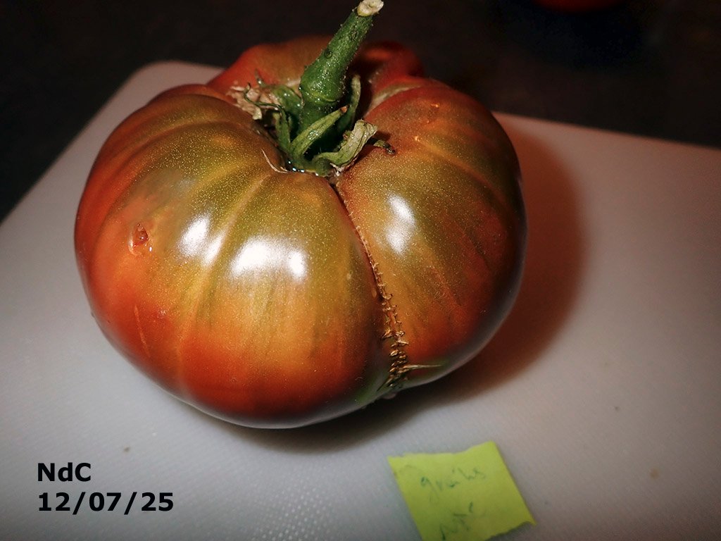P7120606.JPG