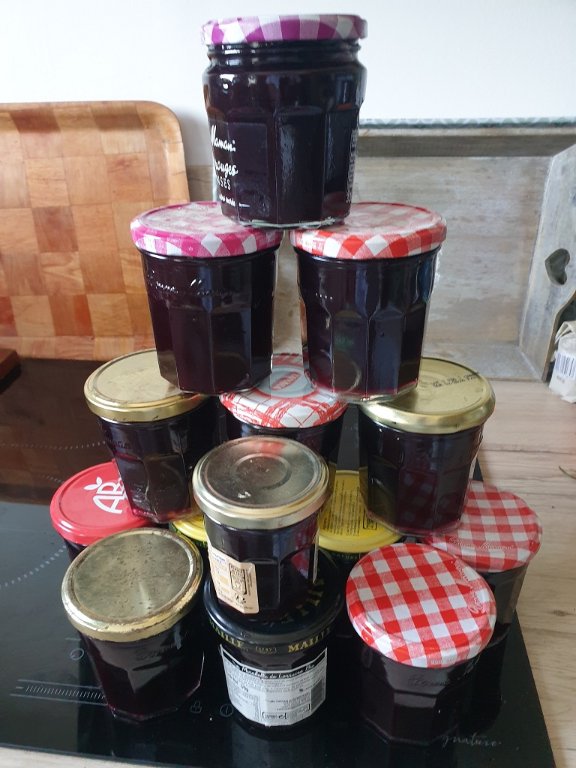 250630 14 pots de gelée de cassis.jpg