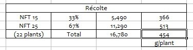 Bilan fraisiers 18 juillet.jpg