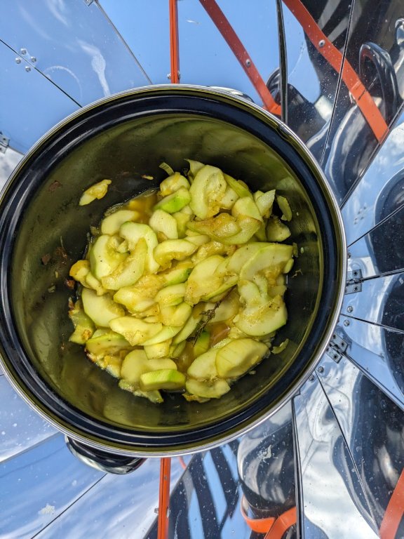 courgette18juillet.jpg