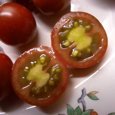 20250723_073537.jpg