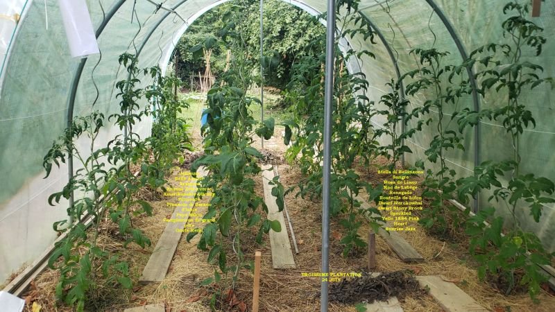 3ème PLANTATION.jpg