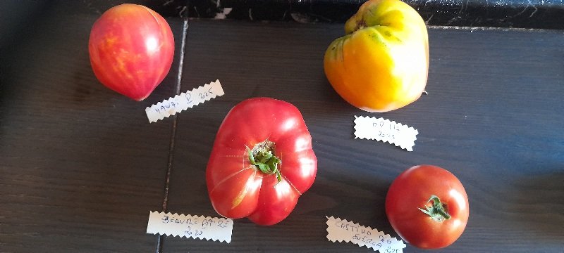 20250727_070333.jpg