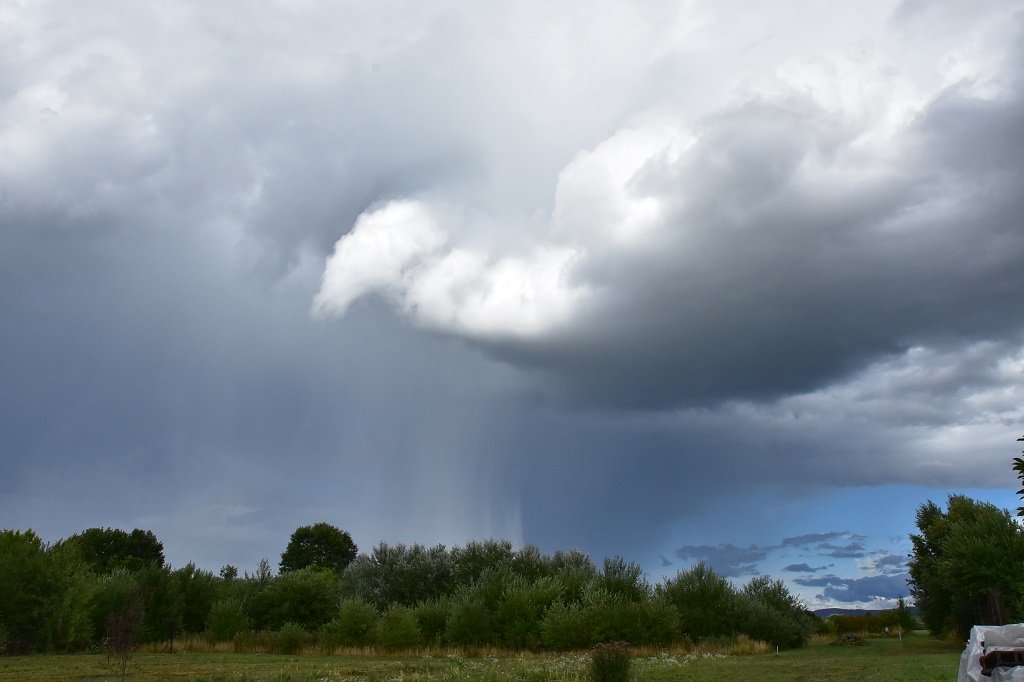 DSC_9188.JPG