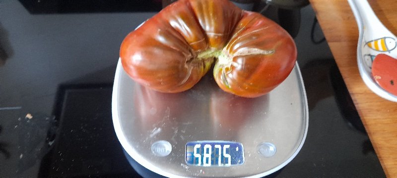 20250728_100421.jpg