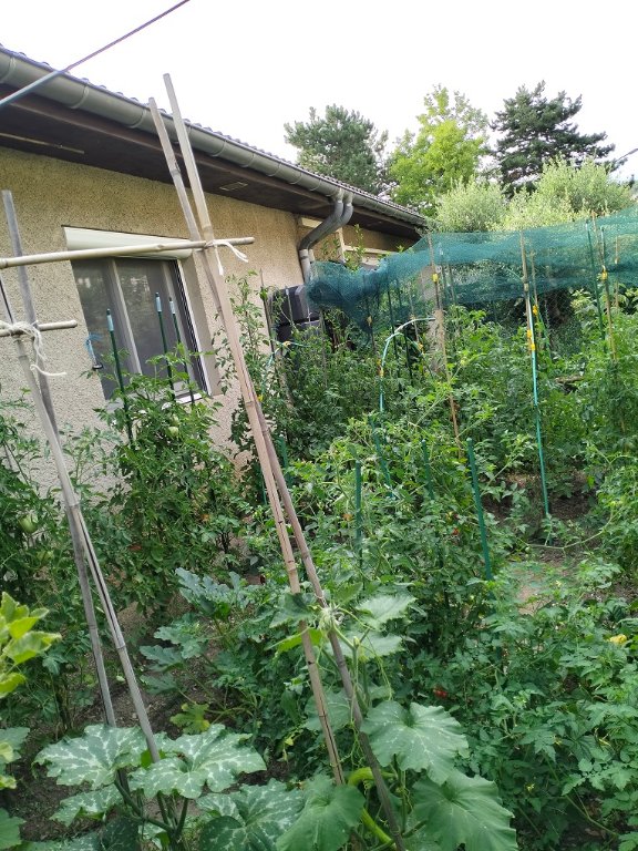 IMG20250806091706.jpg