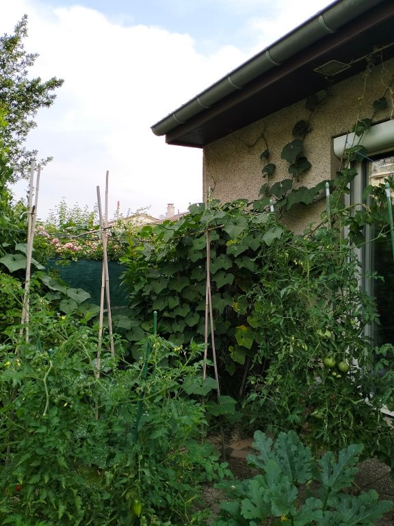 IMG20250806084412.jpg