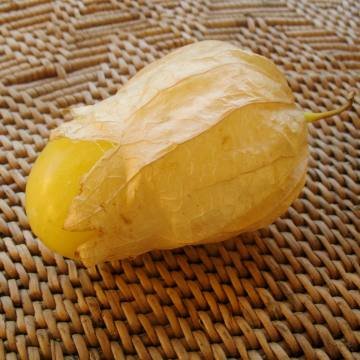 phys-QofM-fruit2.jpg