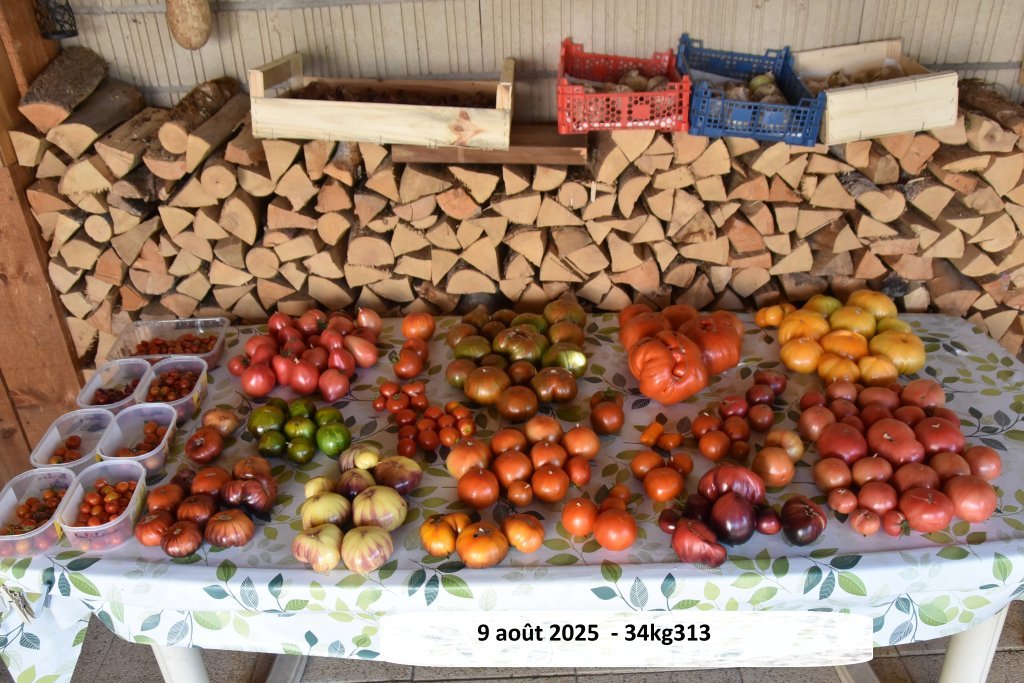 DSC_9441.JPG
