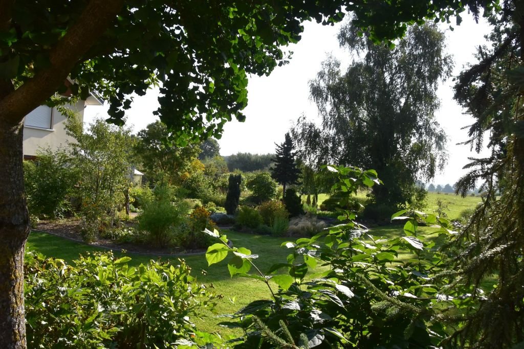 DSC_9518.JPG