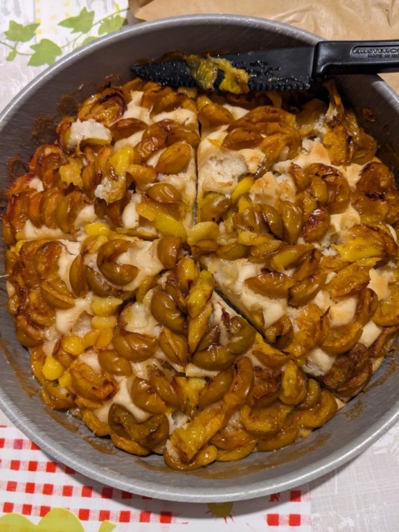 brioche mira.jpeg