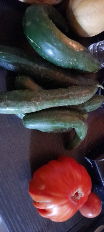 20250815_120127.jpg