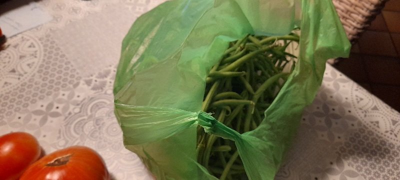20250815_120201.jpg