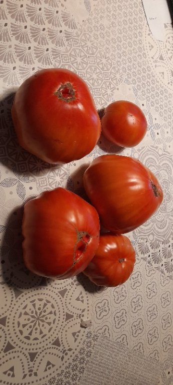20250815_120020.jpg