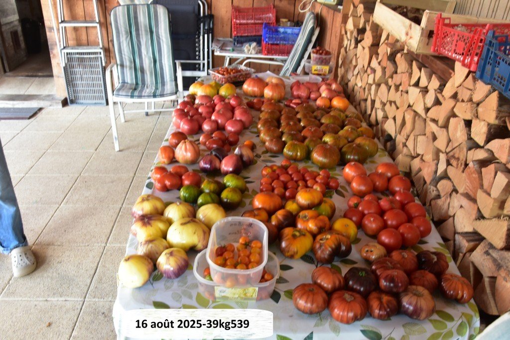 DSC_9795.JPG