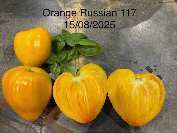 IMG_9846.jpeg