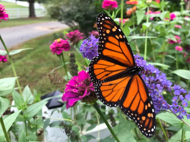 9F0530BB-F671-43E2-8F22-37FC78D0D7C5.jpeg