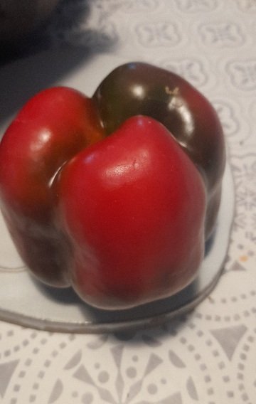20250820_104902.jpg