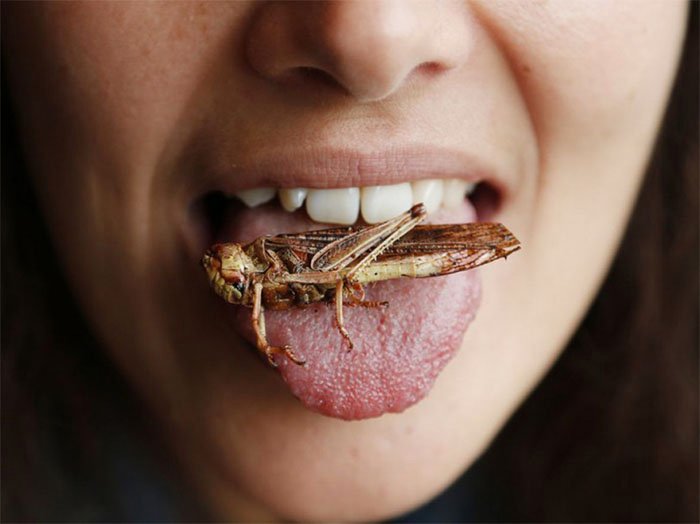 woman-eating-grasshopper.jpg