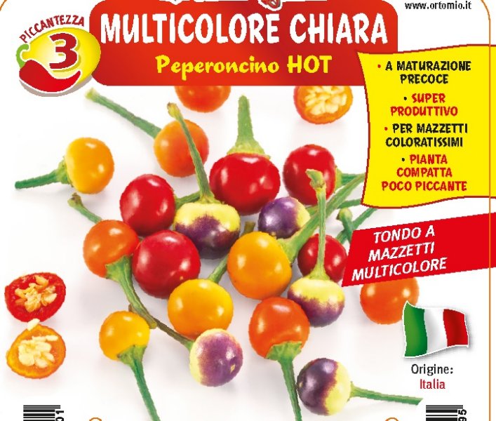 Multicolore Chiara Ref2.jpg