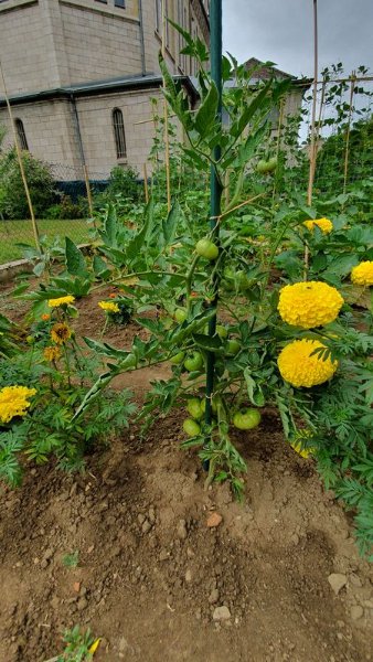 20190727_144513.jpg