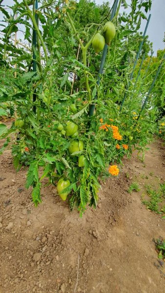 20190727_144611.jpg