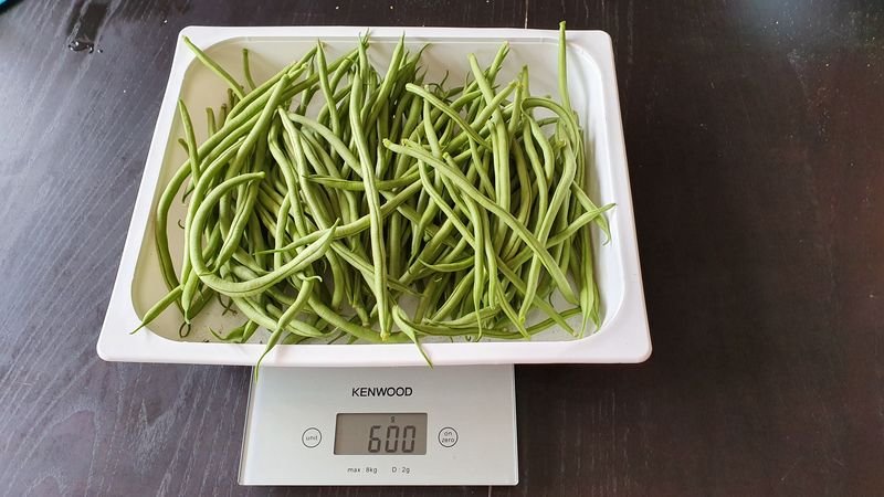 20190727_153400.jpg