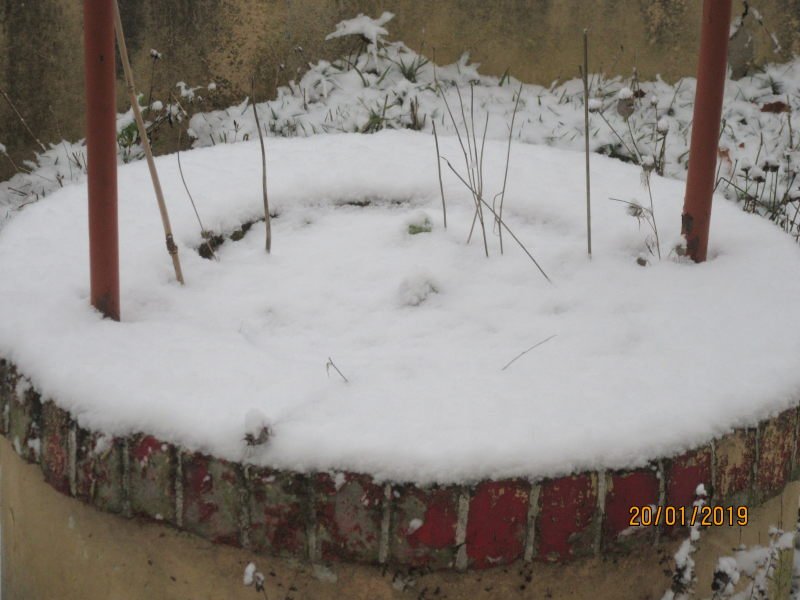 neige20jan.jpg