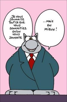 voeux-mariage-humour-fresh-humour-le-chat-de-geluck-le-medecin-et-la-verite.jpg