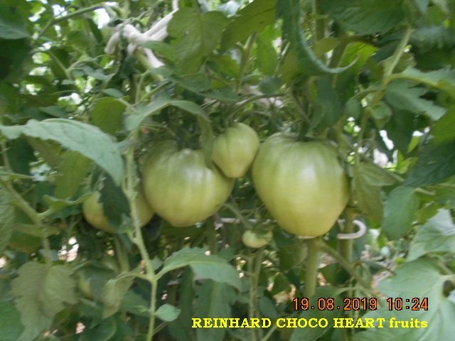 REINHARD CHOCO HEART fruits.jpg