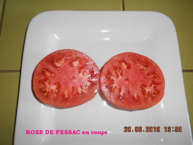 ROSE DE PESSAC en coupe.jpg