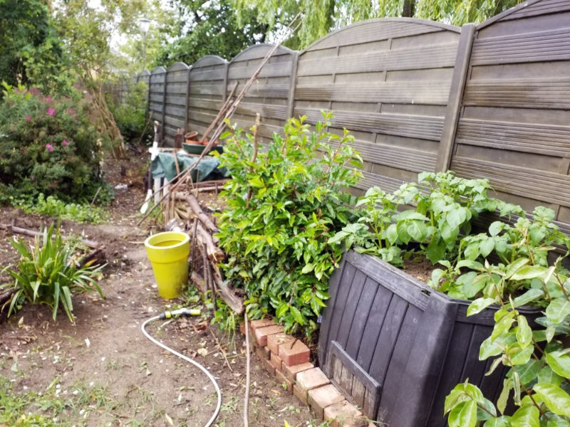 Reconversion du composteur avec plantation pommes de terre - 07/06/2019