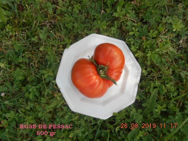 ROSE DE PESSAC 500gr.jpg