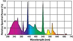 linear_bulbs_100d - Copia.jpg