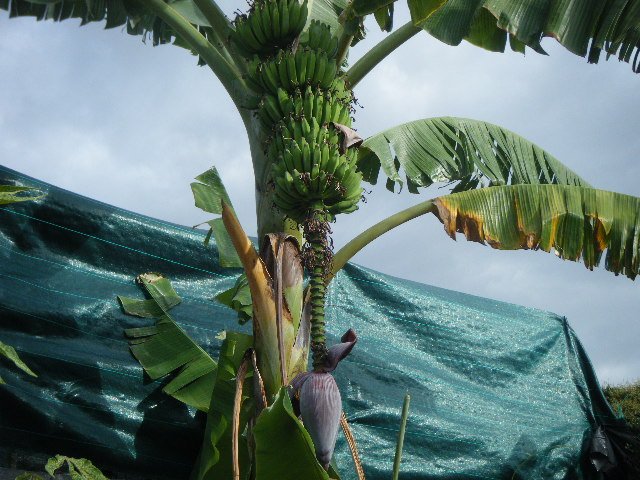 DSCF1869.JPG
