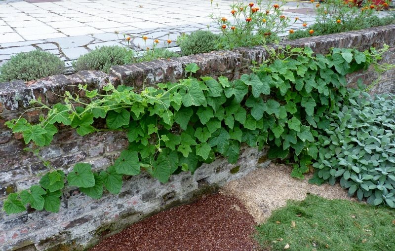 012 (800x509).jpg