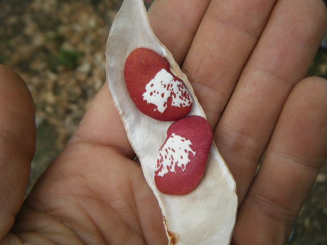 DSCF1884.JPG