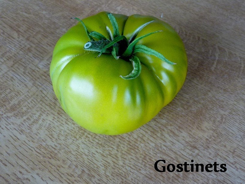 tomates 2019 008 (800x600).jpg