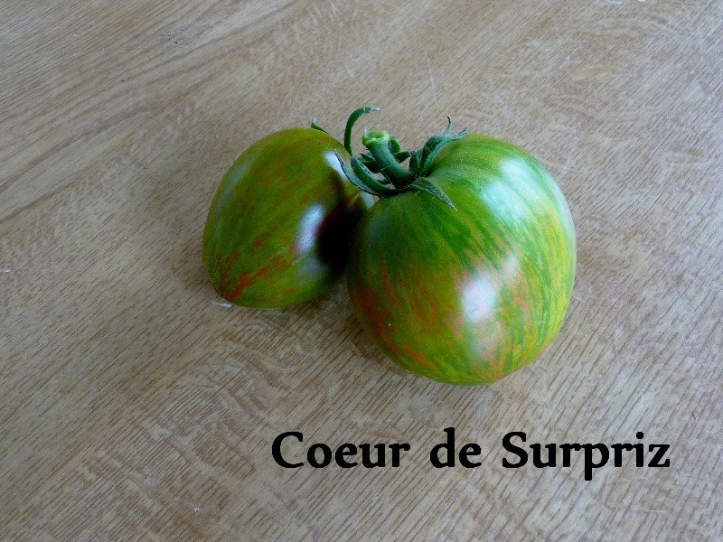 tomates 2019 017 (800x600).jpg