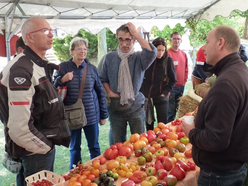 Fête de la tomate à Haverskerque 050 (800x600).jpg