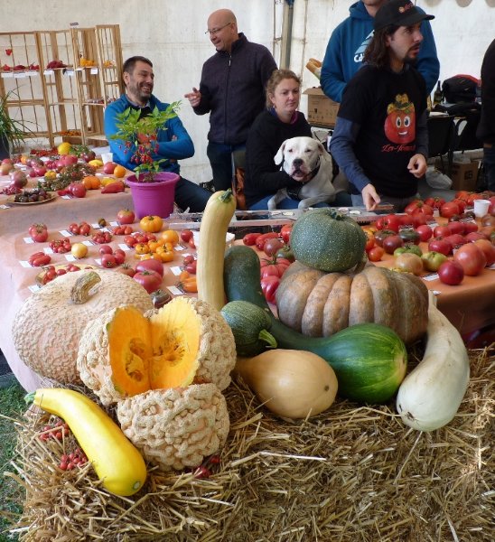 Fête de la tomate à Haverskerque 053 (731x800).jpg