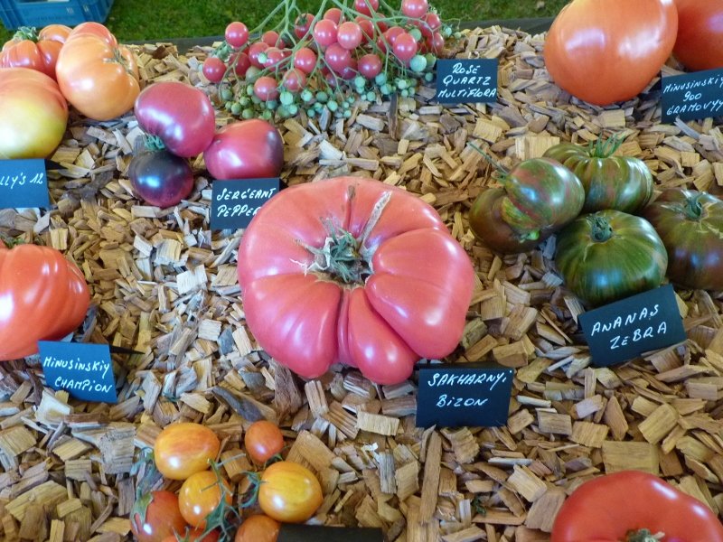 Fête de la tomate à Haverskerque 001 (800x600).jpg