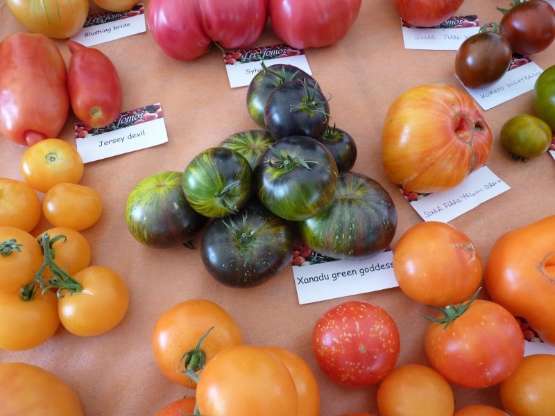 Fête de la tomate à Haverskerque 032 (800x600).jpg