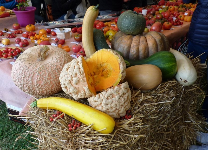 Fête de la tomate à Haverskerque 052 (800x578).jpg