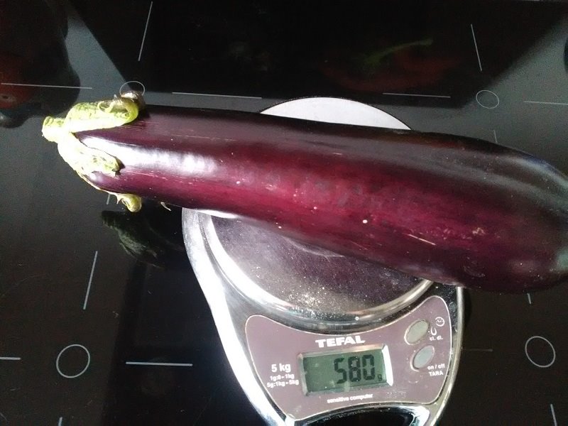 aubergine(2).jpg