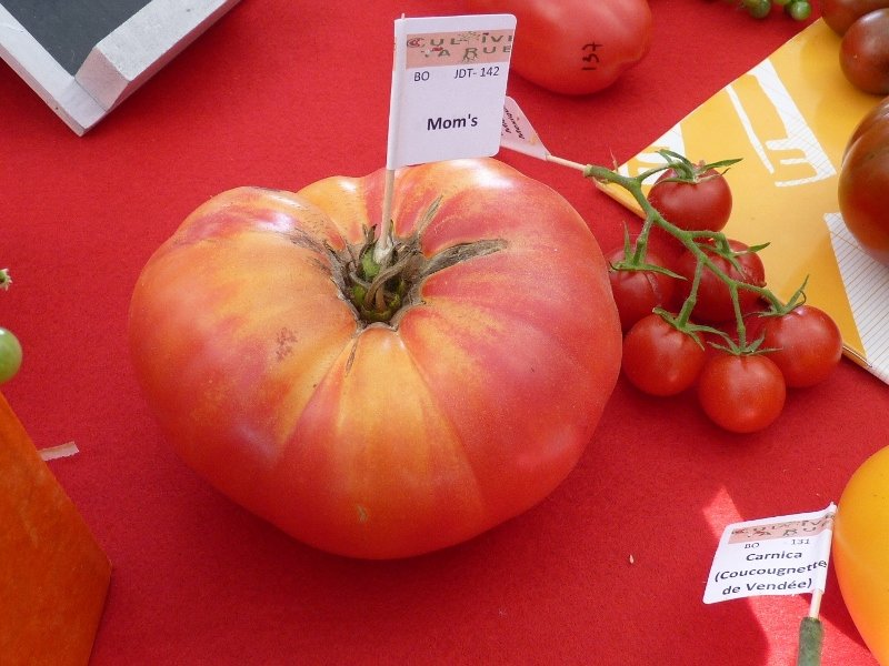 Fête de la tomate à Haverskerque 023 (800x600).jpg