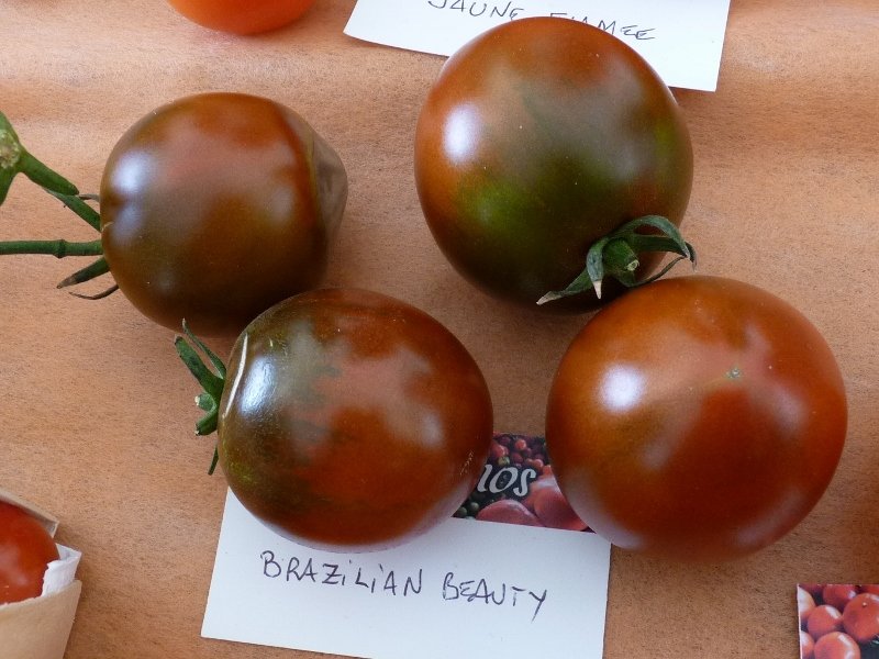 Fête de la tomate à Haverskerque 037 (800x600).jpg