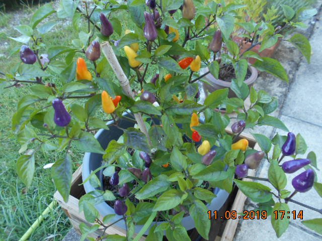 DSCN2276.JPG