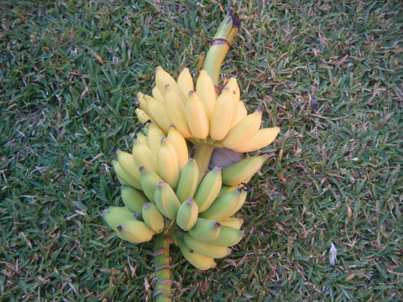 DSCF0010.jpg